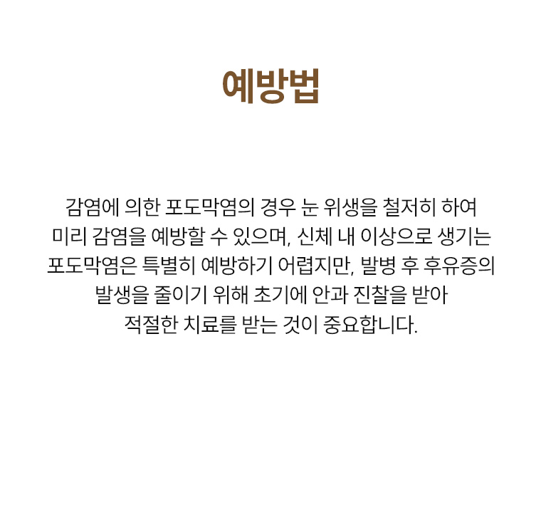 포도막엽
