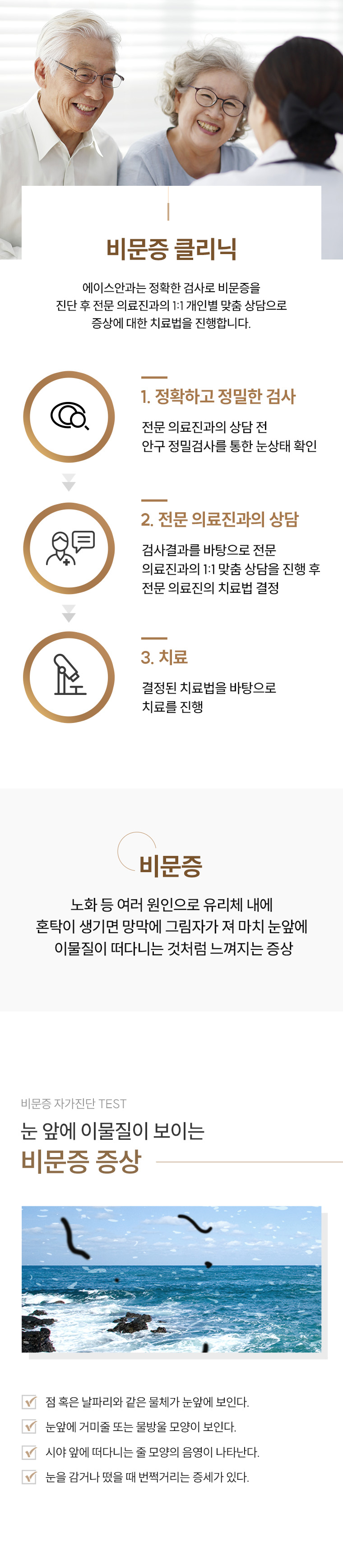 비문증