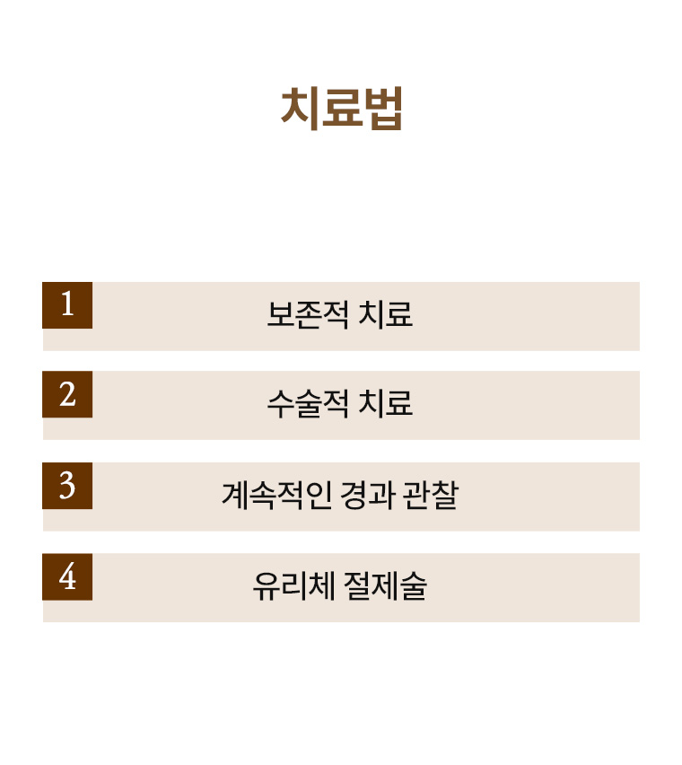 비문증