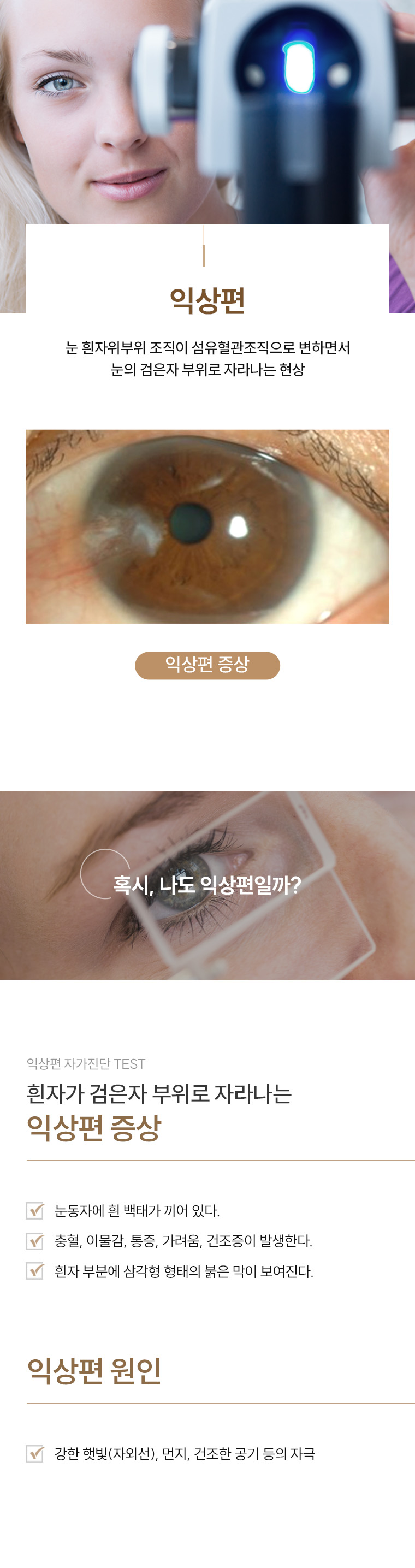 익상편