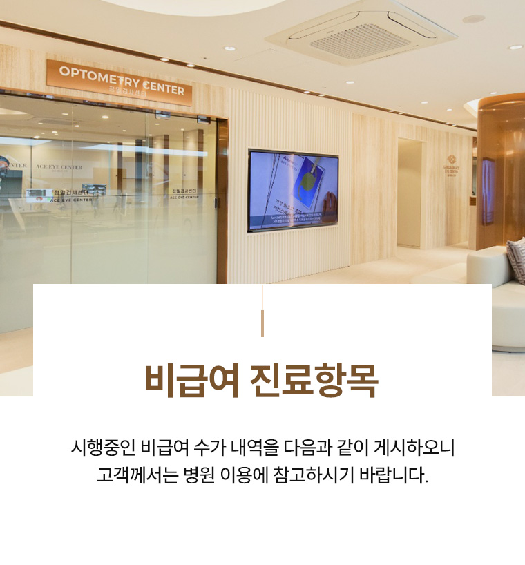 비급여 진료항목